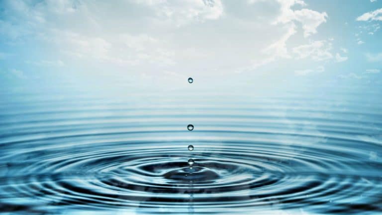 La renaturation des cours d’eau, une véritable désillusion ?